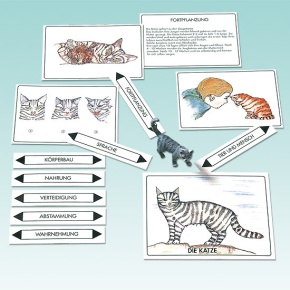 Meine Katze - mit Tierfigur -Minka-