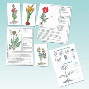 Der Pflanzendetektiv