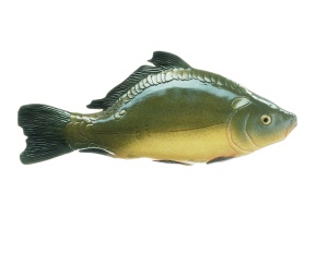 Modell Anatomie beim Knochenfisch